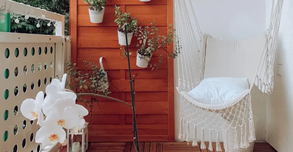 cuidados e cultivo de orquideas em casa (2)