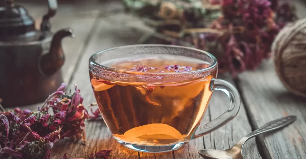 equinacea para que serve imunidade ansiedade cha (1)